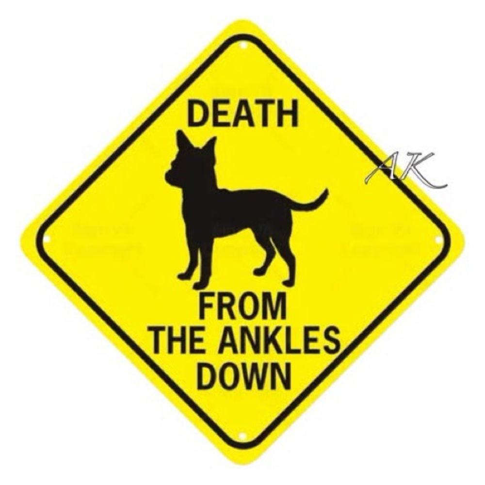 Chihuahua Death From The Ankles Down Tin Sign